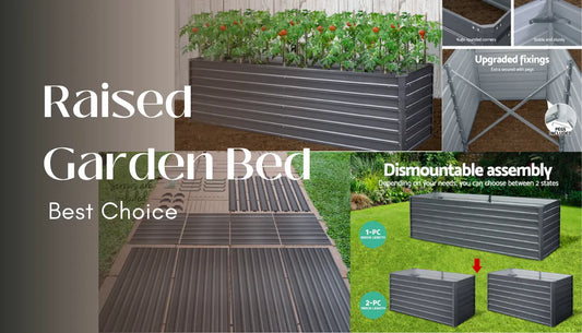 Why a Raised Garden Bed Is the Best Choice