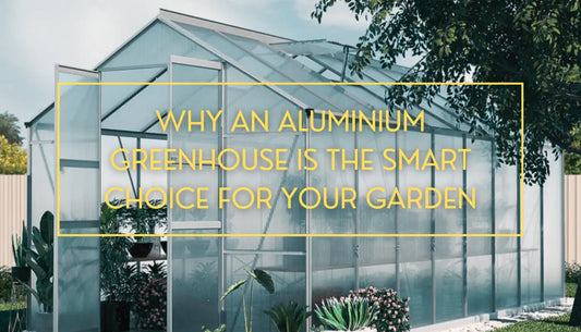 Why an Aluminium Greenhouse is the Smart Choice