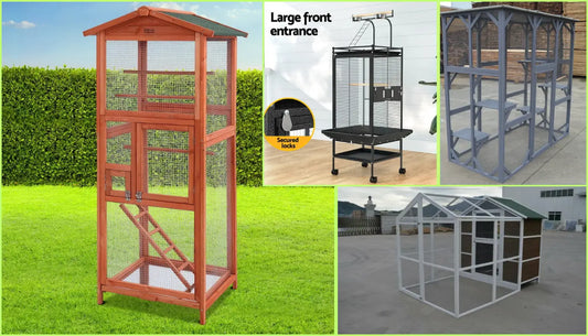 Why Cover a Bird Cage?