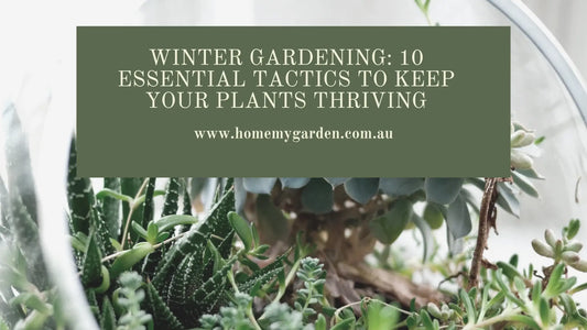 Winter Gardening: 10 Essential Tactics to Keep Your Plants
