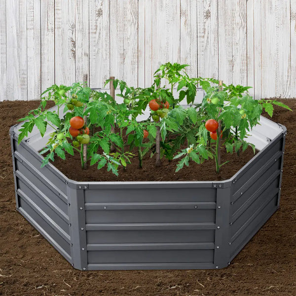 Garden Beds