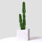 SOGA 2X 95cm Green Artificial Indoor Cactus Tree Fake Plant Simulation Decorative 2 Heads