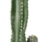 SOGA 95cm Green Artificial Indoor Cactus Tree Fake Plant Simulation Decorative 2 Heads