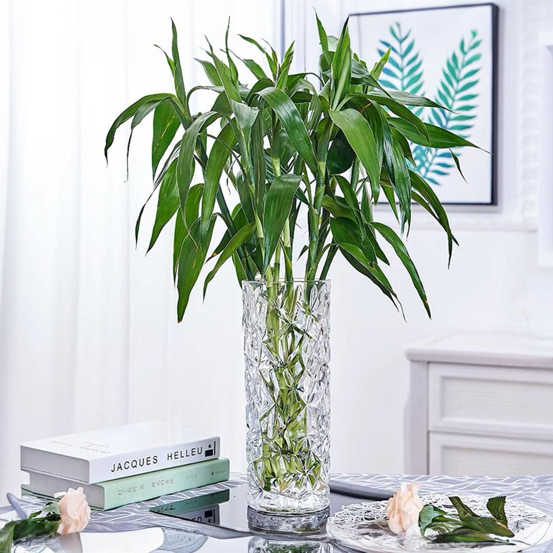 SOGA 14cmx30cm Heavy Duty Glass Vase Crystal Clear Design for Home Décor
