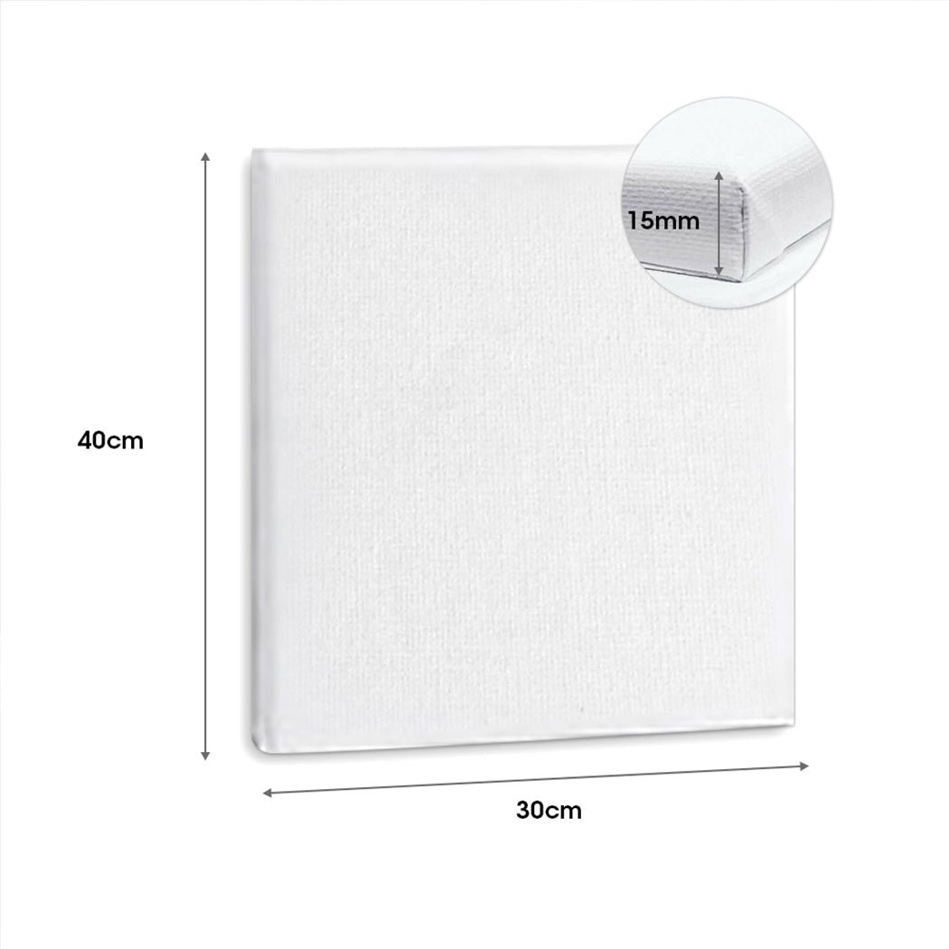 5x Artist Canvas Blank Stretched Canvases