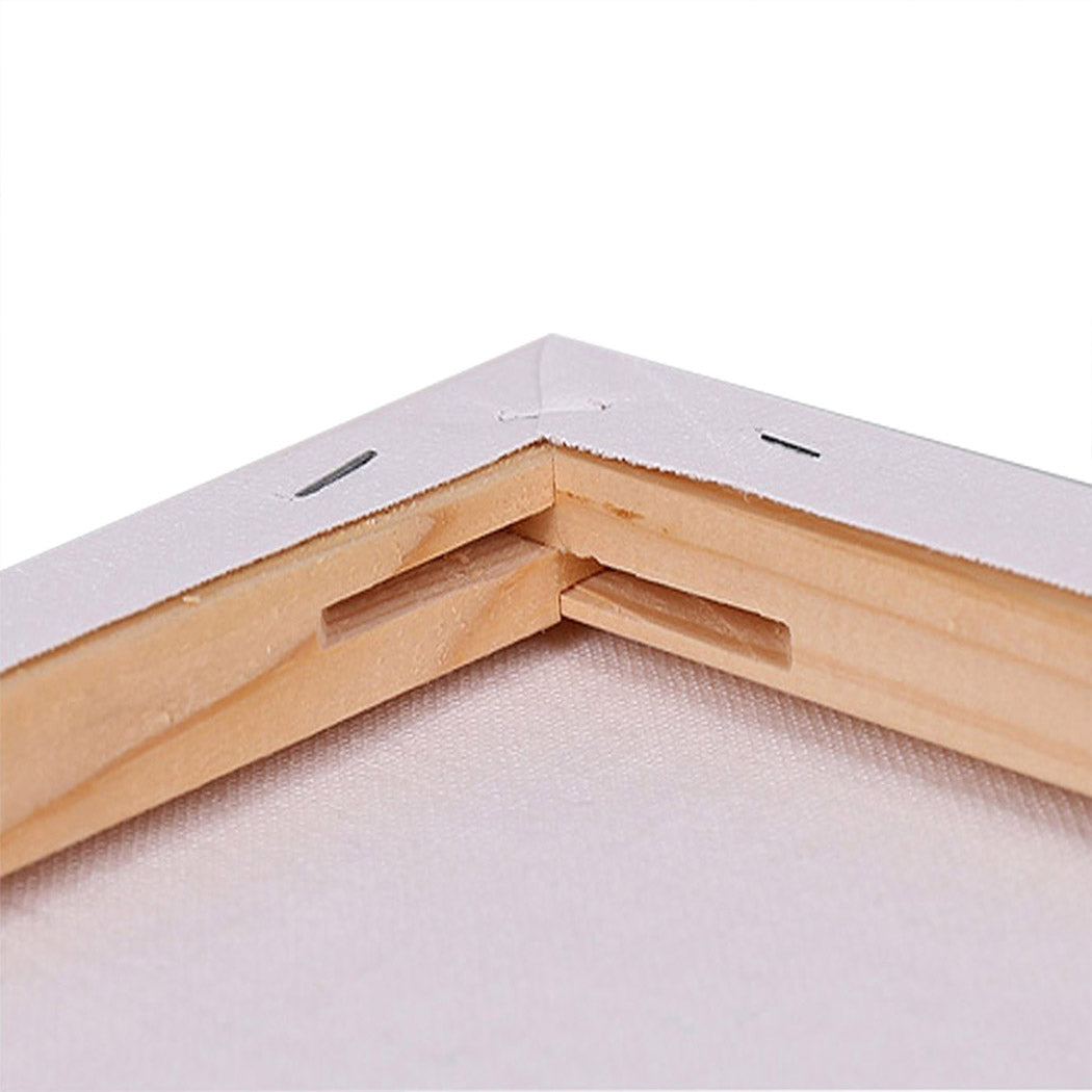 5x Artist Canvas Blank Stretched Canvases