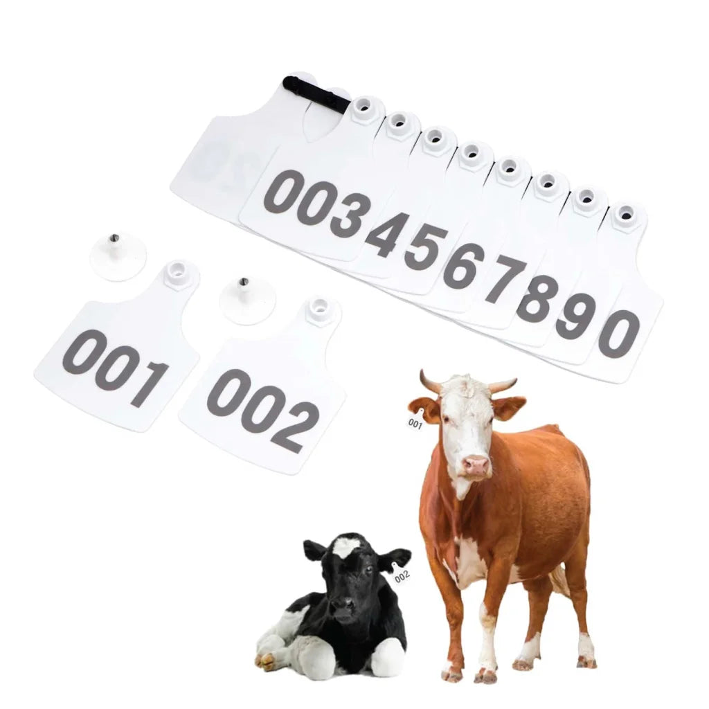 1-100 Cattle Number Ear Tags 7x10cm Set - XL White Cow