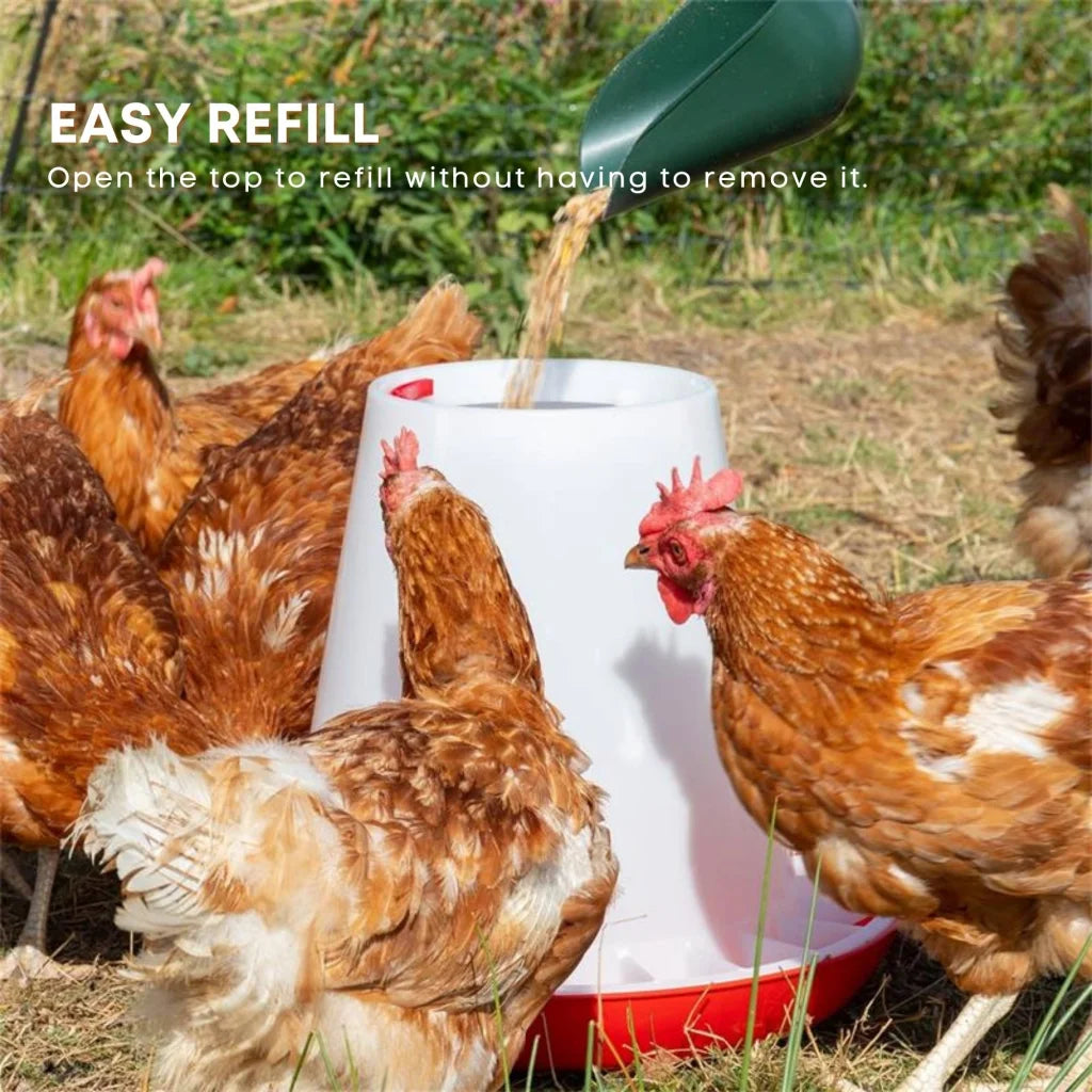 Automatic chicken feeder with poultry chook hen feeding