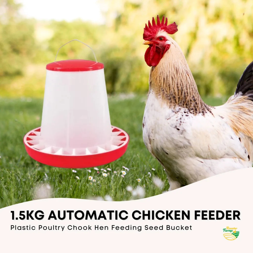 1 5Kg Automatic Chicken Feeder Plastic Poultry Chook