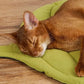 1 Pcs Yellow Leaf-Shaped Pet Sleeping Mat - Durable Dog