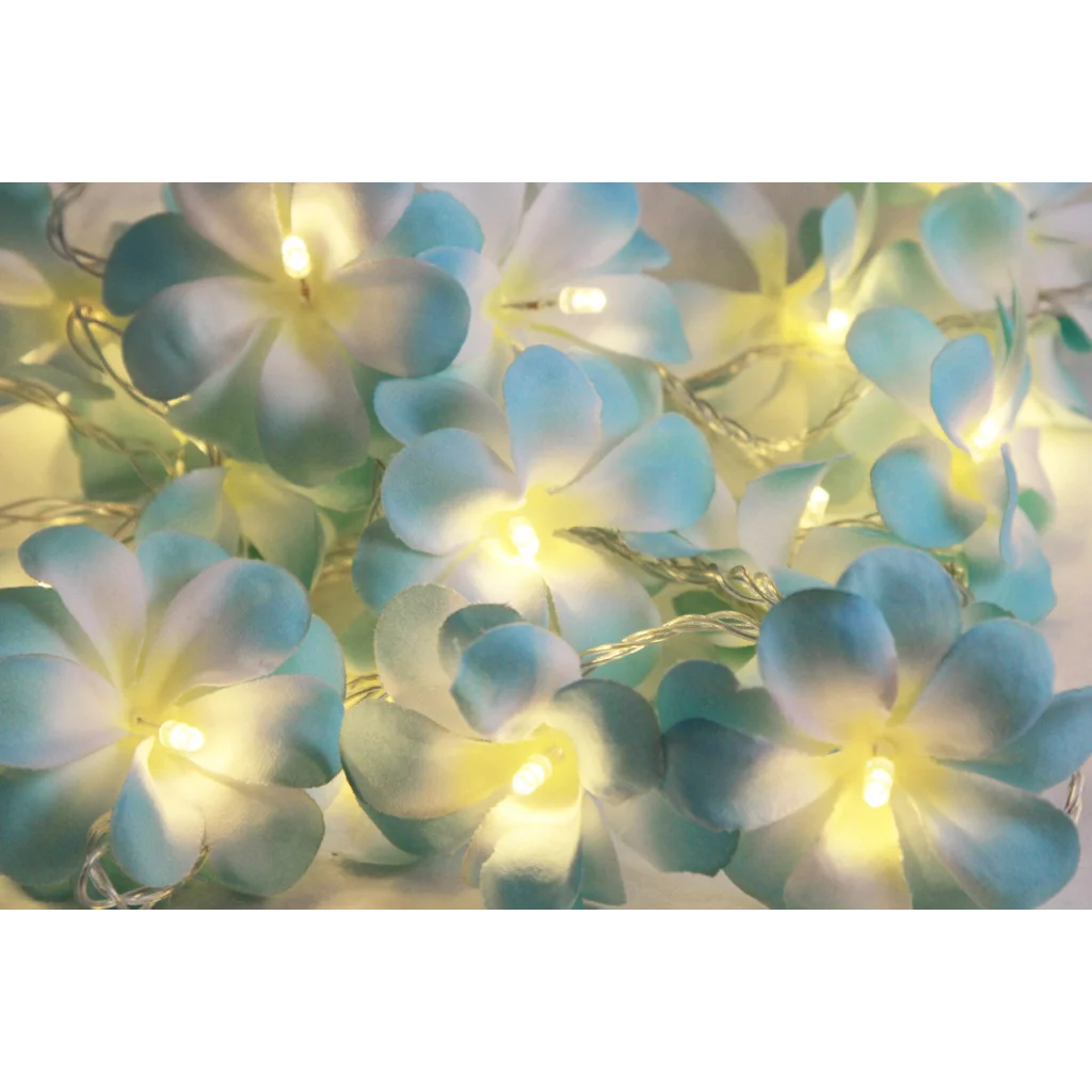 1 Set of 20 LED Tropical Blue Frangipani Flower Battery 3m