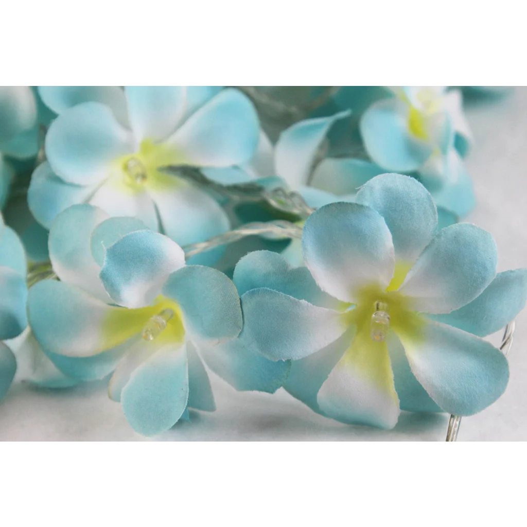 1 Set of 20 LED Tropical Blue Frangipani Flower Battery 3m