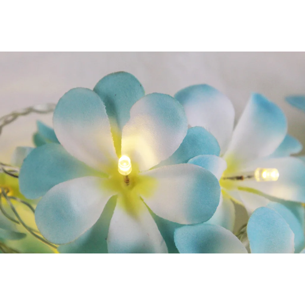 1 Set of 50 LED Tropical Blue Frangipani Flower Battery 5m