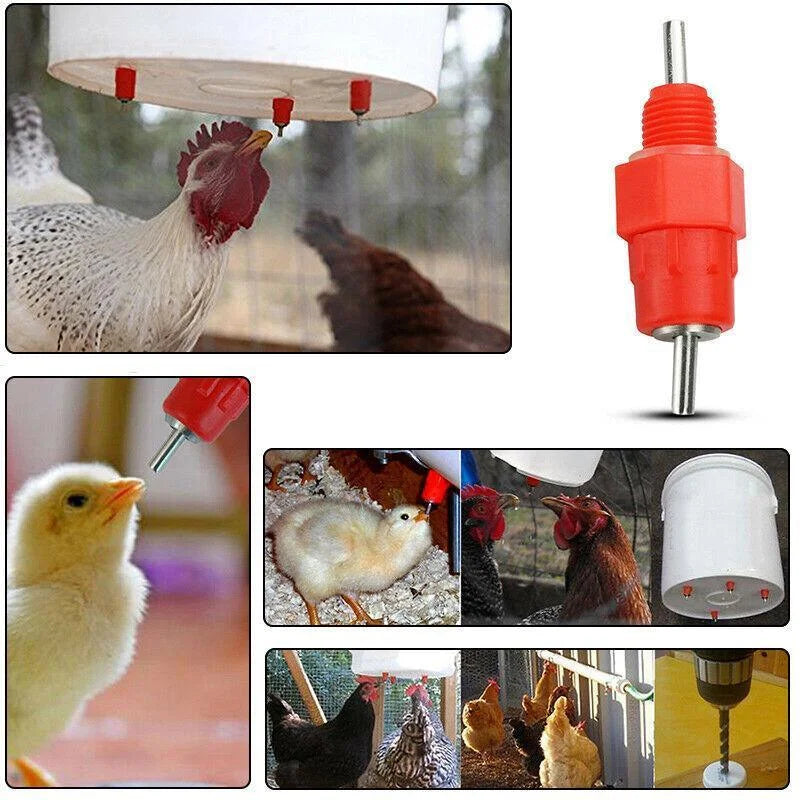 10 PCS Automatic Nipple Water Valves for Poultry and Duck