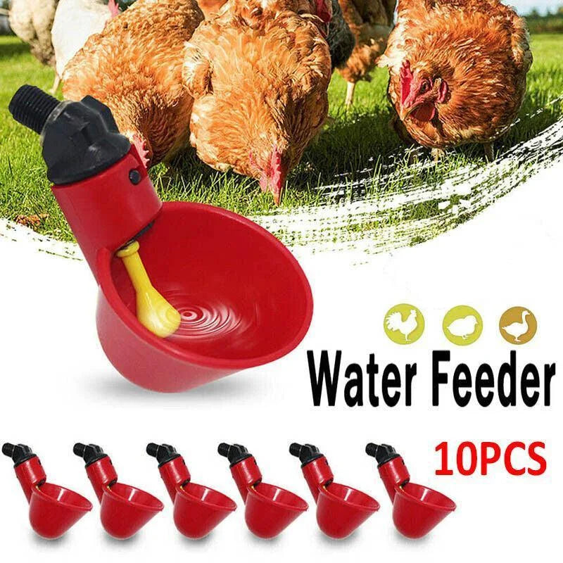 Set Of Ten Automatic Poultry Waterer