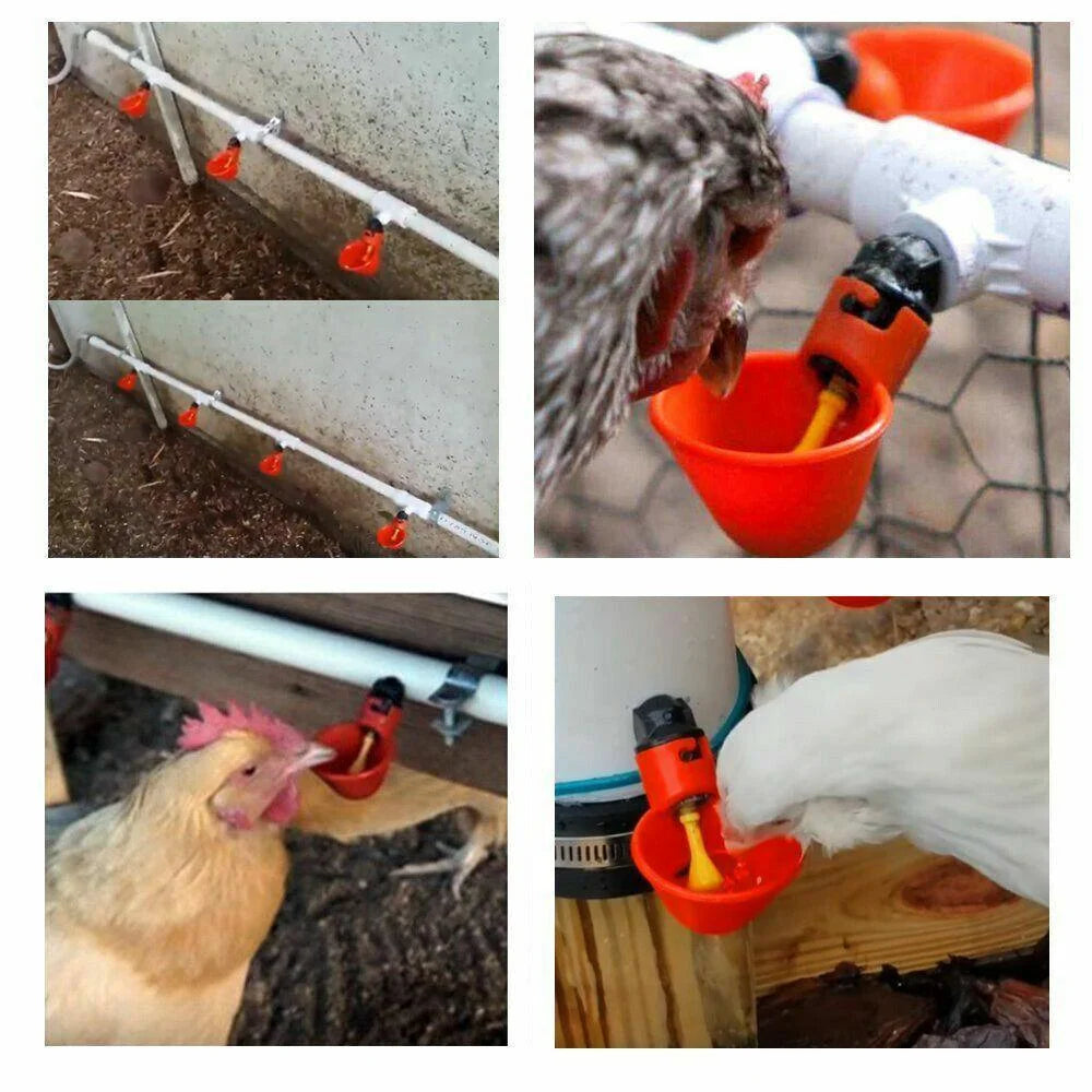 10 Pcs Automatic Poultry Waterer Cups for Chickens and Birds
