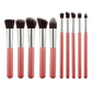 10-Piece Pink silver Makeup Brush Set - Large and Small