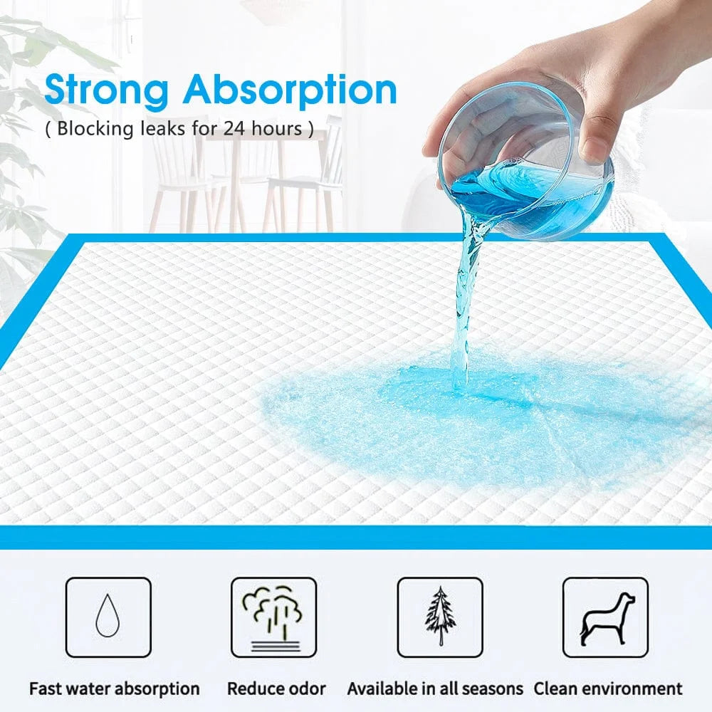 Dog absorbent training with shape details and included parts