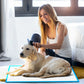 100pcs Dog Absorbent Training Pad