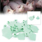 100x Cattle Ear Tags 6x7cm Set medium green blank
