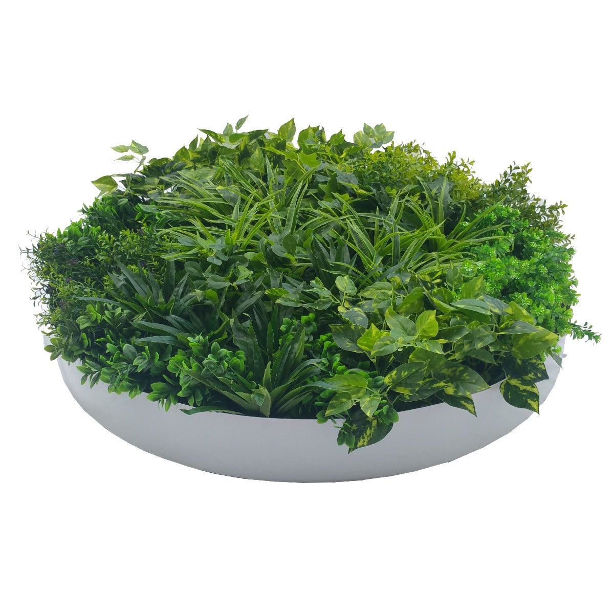 Green Wall Disc Art 100cm Dense Green Sensation (Fresh White)