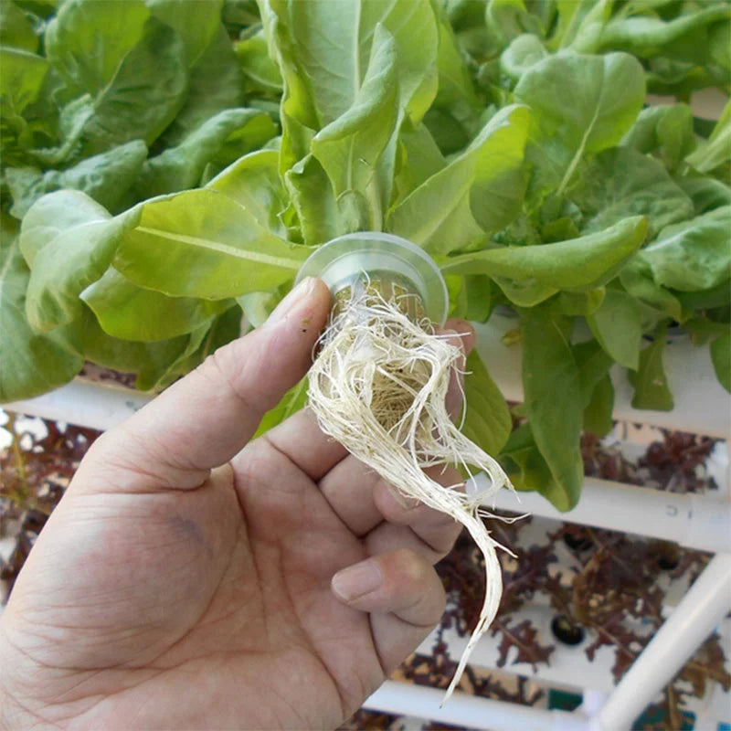 108 Plant Sites Hydroponic Grow Tool Kit Vegetable Garden