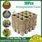 10PCS Biodegradable Seedling Trays Hole Starter Tools Gardening