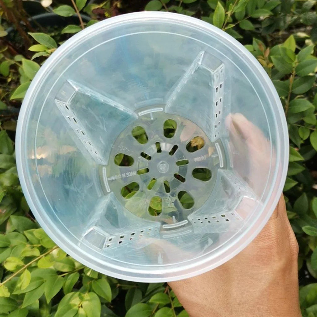 10xClear Plastic Orchid Pots with Holes for Phalaenopsis