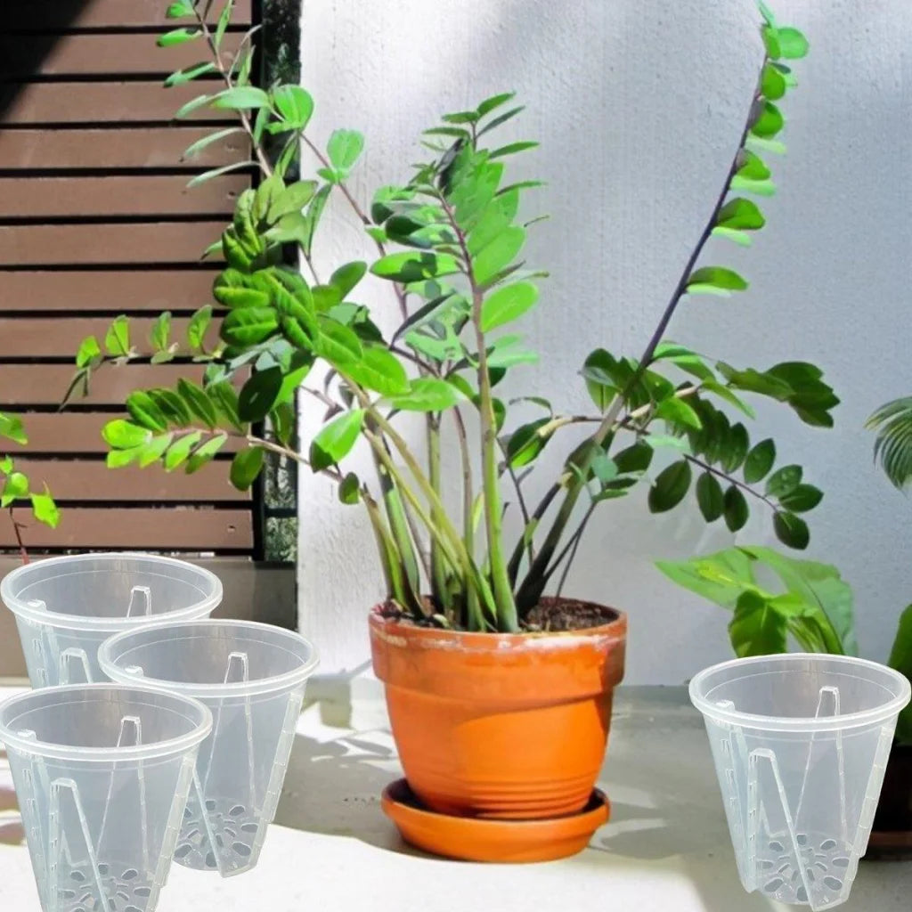 10xClear Plastic Orchid Pots with Holes for Phalaenopsis