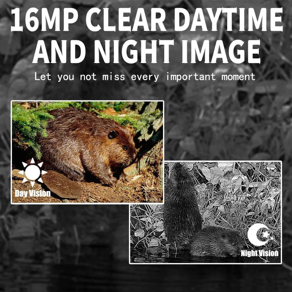 12mp Outdoor Night Vision Hunting Camera with Motion