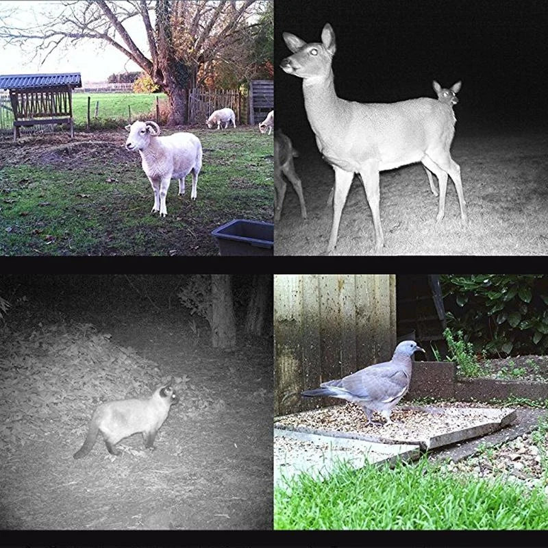 12Mp Waterproof Trail Camera With Night Vision And Mms