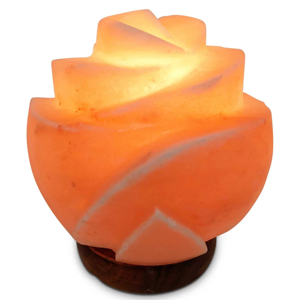 12V 12W Rose Himalayan Pink Salt Lamp Carved