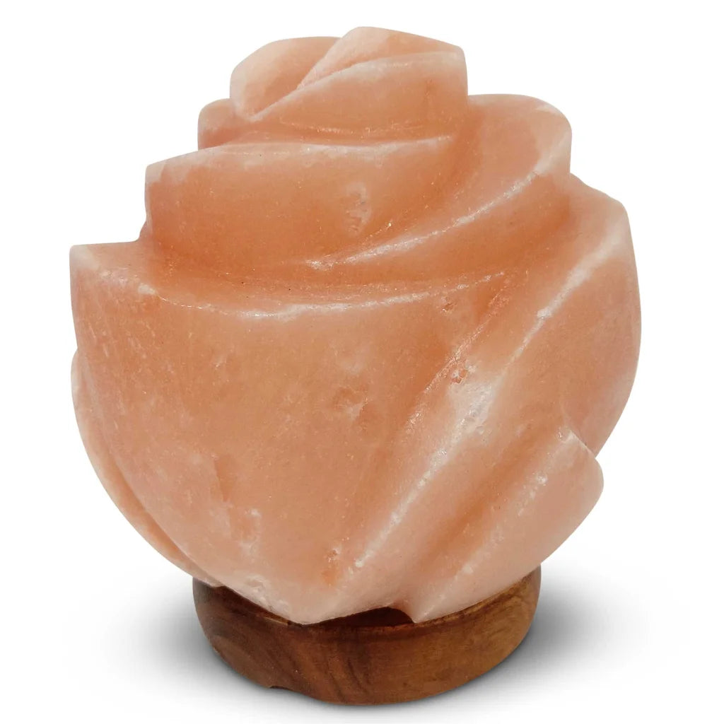 12V 12W Rose Himalayan Pink Salt Lamp Carved Flower