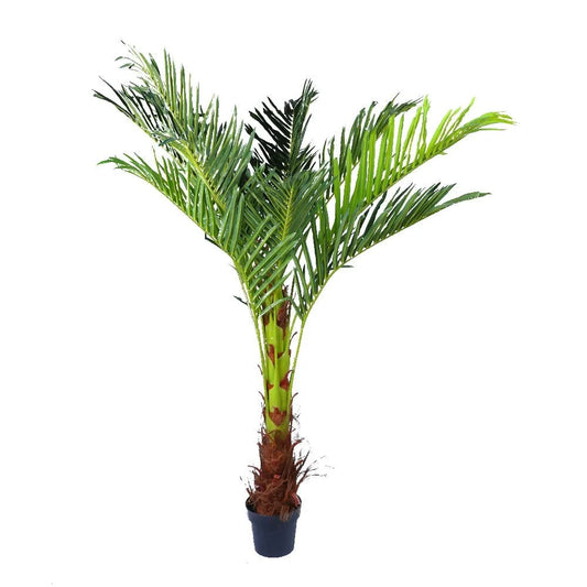180cm Phoenix Palm - Artificial Plant Home Decor Flora