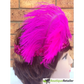 1920s FLAPPER HEADBAND Headpiece Feather Sequin Charleston