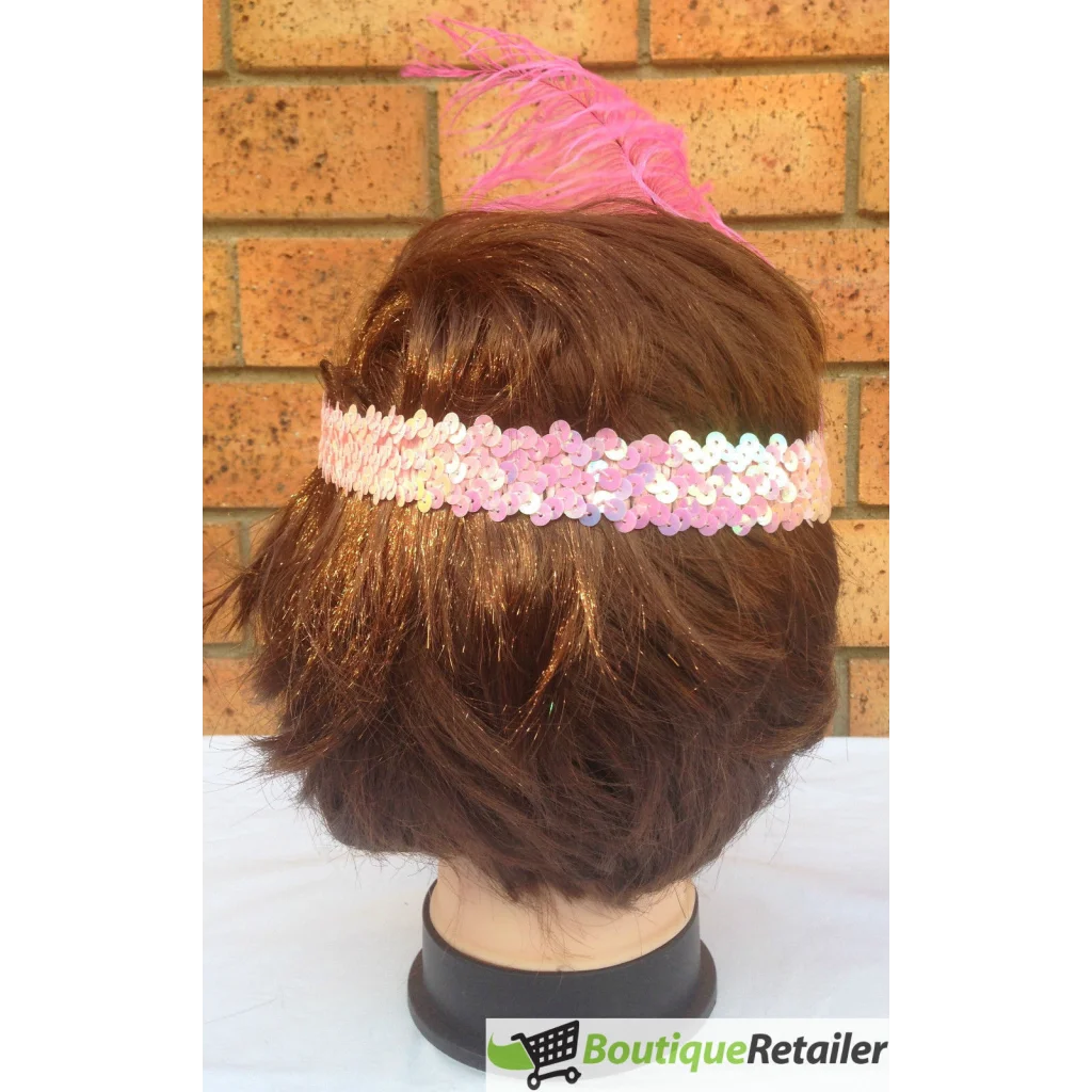 1920s FLAPPER HEADBAND Headpiece Feather Sequin Charleston