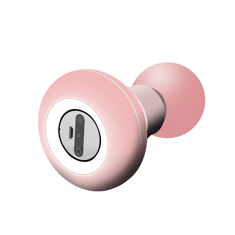 2 Pcs Pink Mini Massage Gun - 6-Speed Muscle Relaxer USB