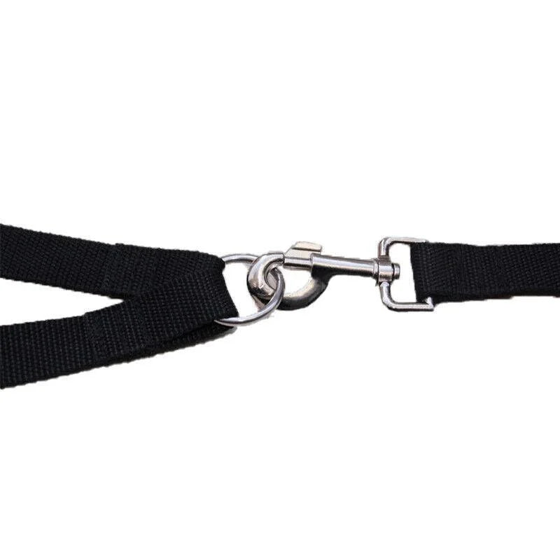 2 Way Double Dual Dog Leash Walk 2 Dogs With One Lead