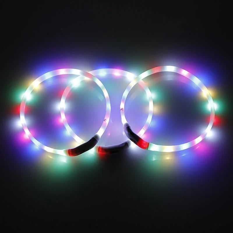 2 X YES4PETS Medium 55CM LED Dog Collar USB Rechargeable