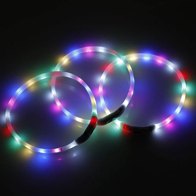 2 X YES4PETS Medium 55CM LED Dog Collar USB Rechargeable