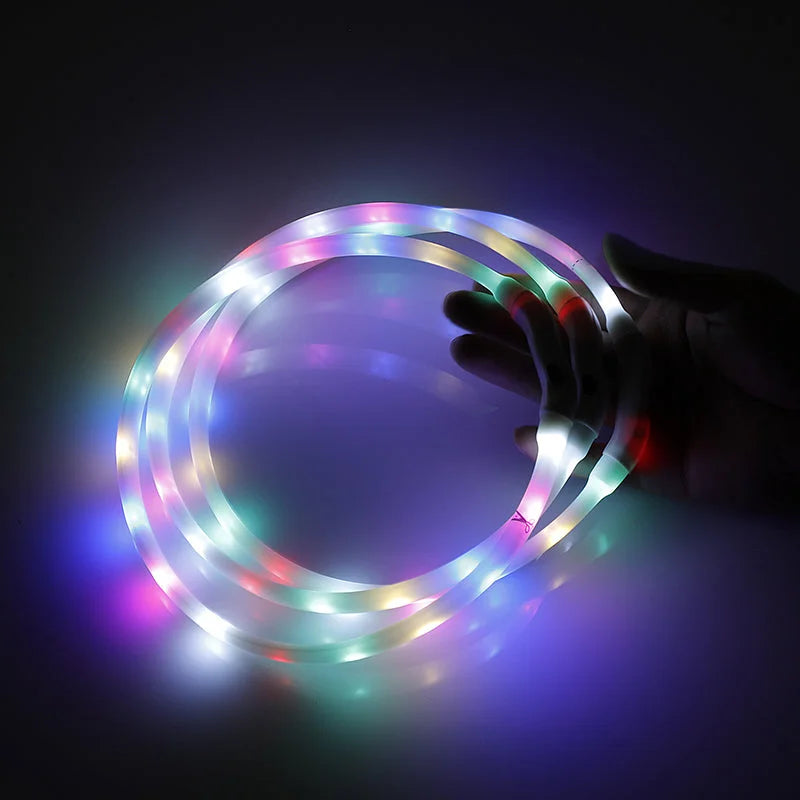 2 X YES4PETS Medium 55CM LED Dog Collar USB Rechargeable