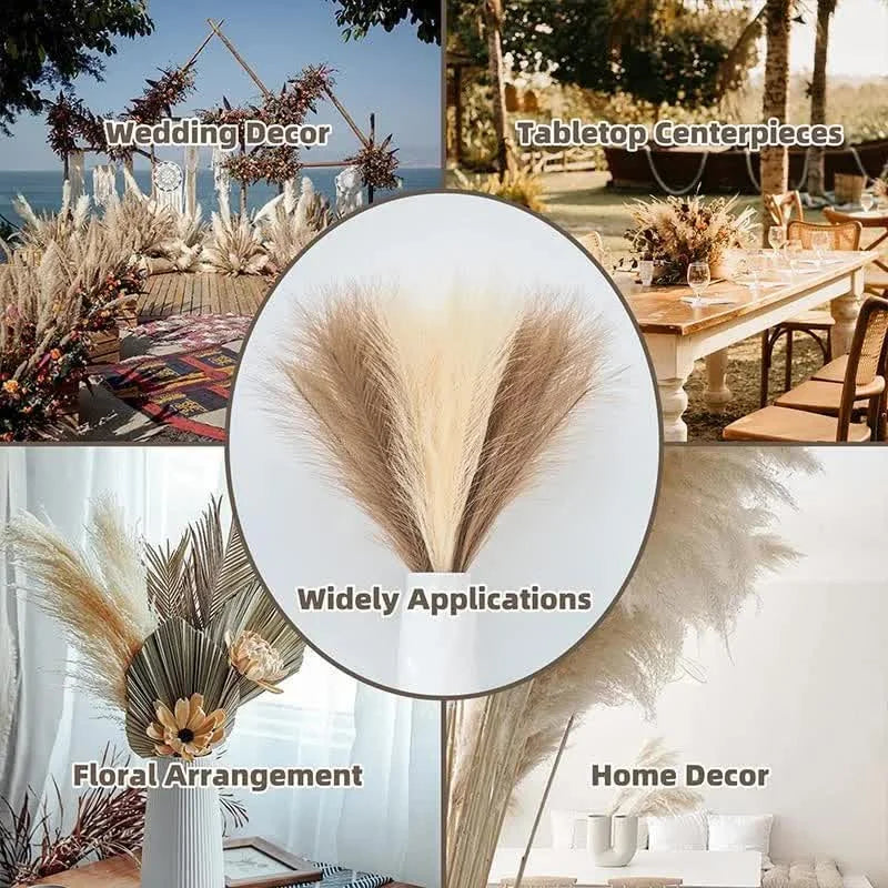 20 sticks Natural Dark Gray Pampas Grass Bouquet-21.65’’