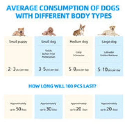 200pcs Dog Absorbent Training Pad 60 x 60 cm - Pet Care >