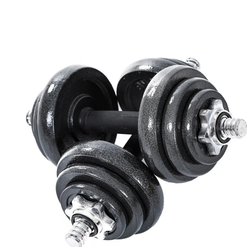 20KG Cast Iron Dumbbell Set Weight Dumbbells Home Gym