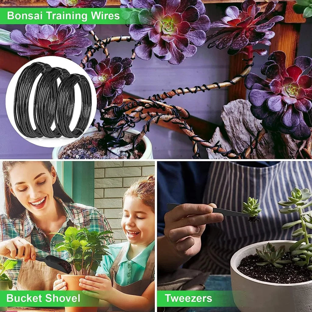 24-Piece Bonsai Tree Tool Kit for Gardening Starters –