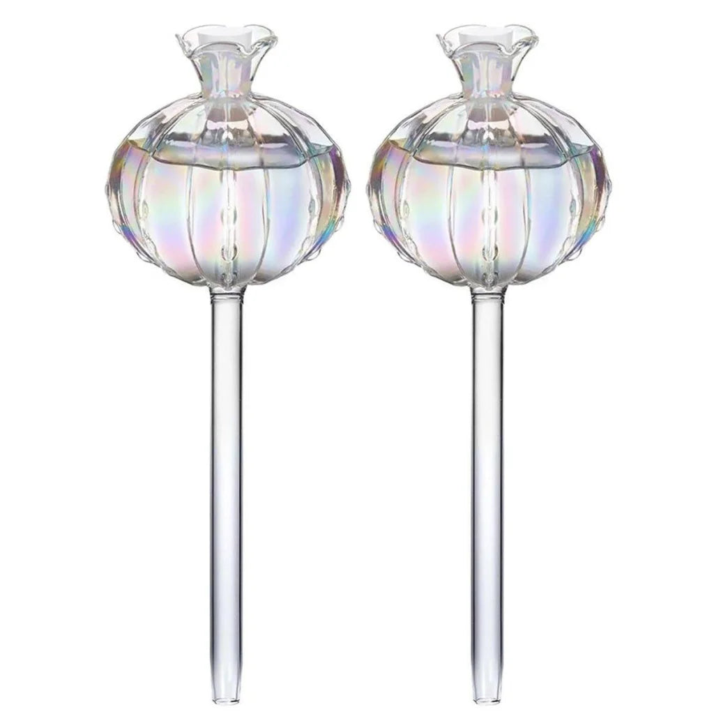 2PCS Automatic Glass Watering Cactus Plant Flower Self Drip