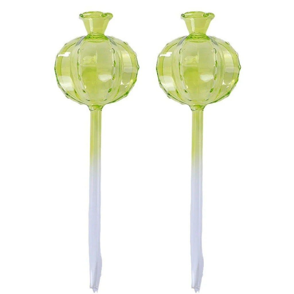 2PCS Automatic Glass Watering Cactus Plant Flower Self Drip