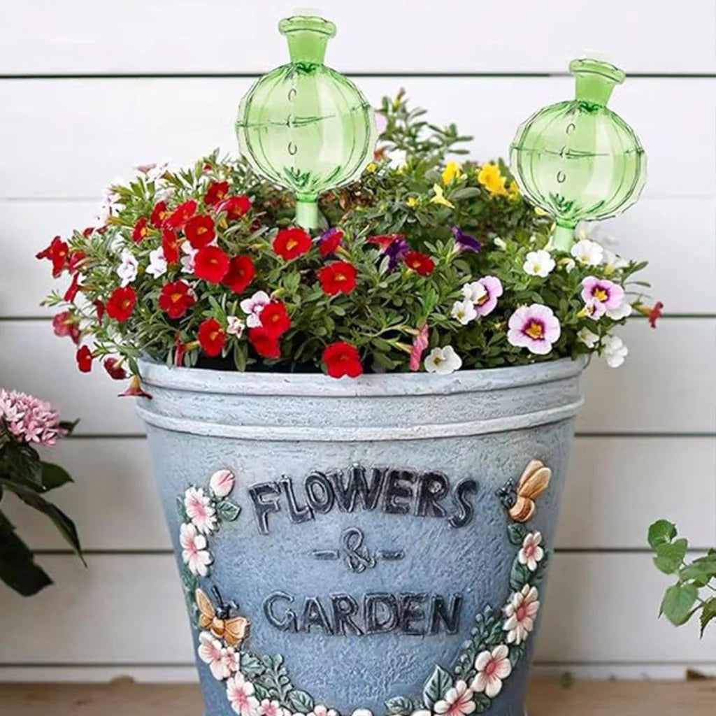 2PCS Automatic Glass Watering Cactus Plant Flower Self Drip