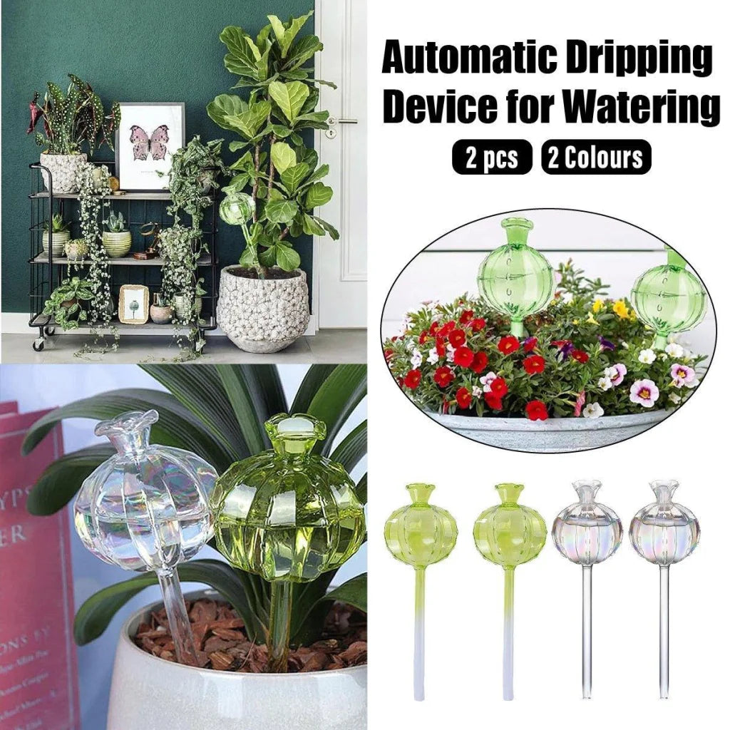 2PCS Automatic Glass Watering Cactus Plant Flower Self Drip