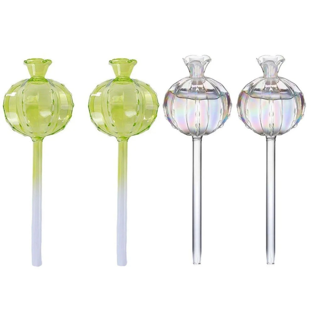 2PCS Automatic Glass Watering Cactus Plant Flower Self Drip